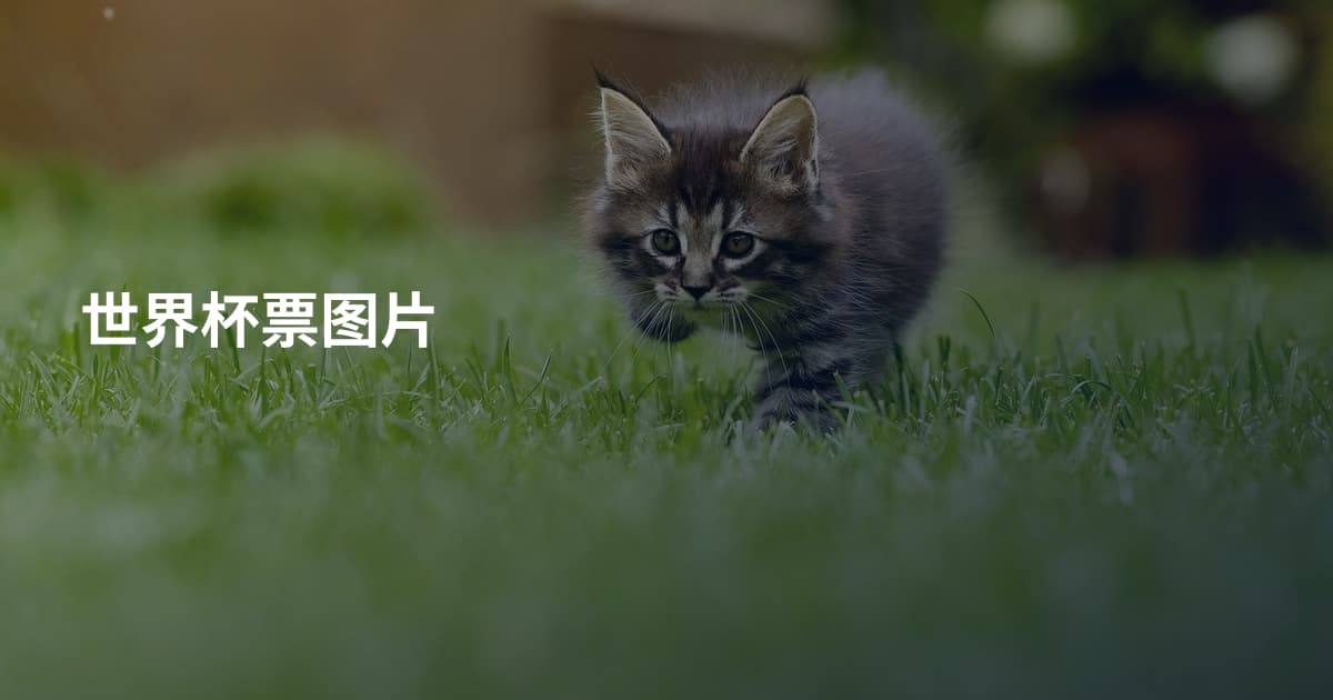 世界杯票图片