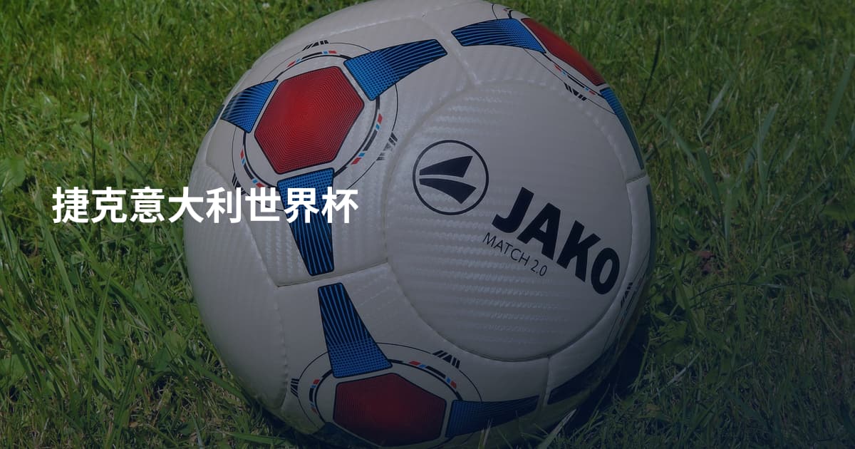 捷克意大利世界杯