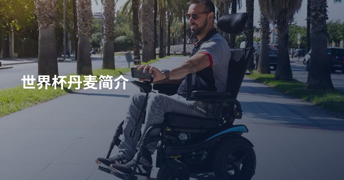 世界杯丹麦简介