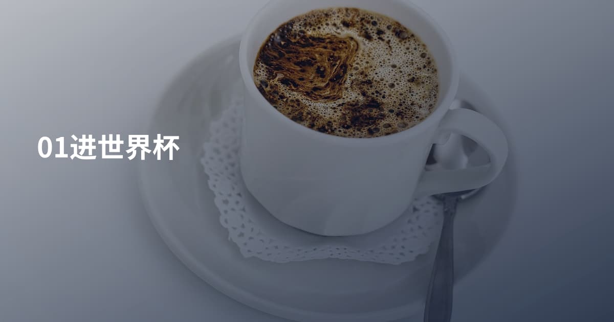 01进世界杯