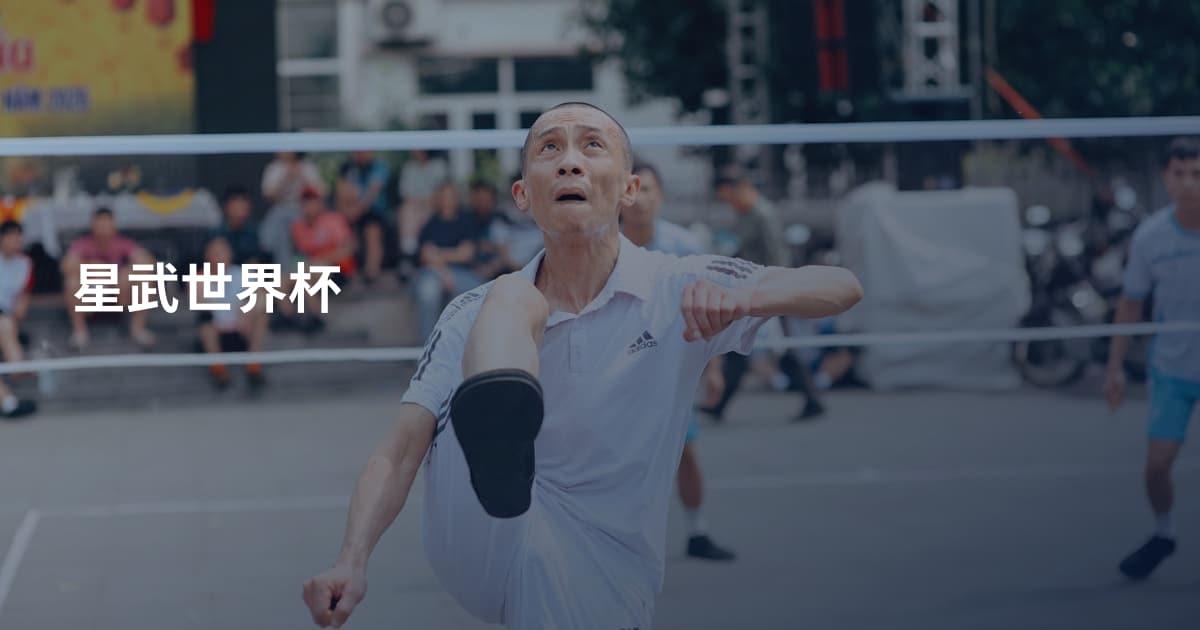 星武世界杯