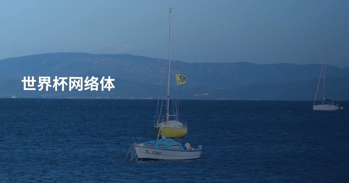 世界杯网络体
