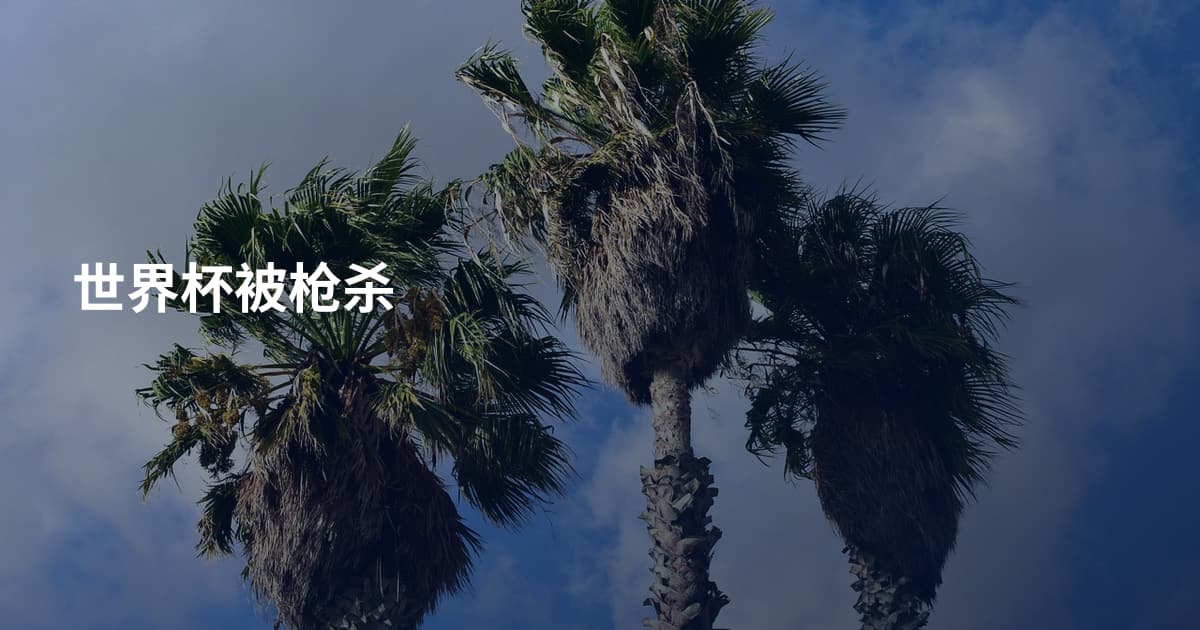 世界杯被枪杀