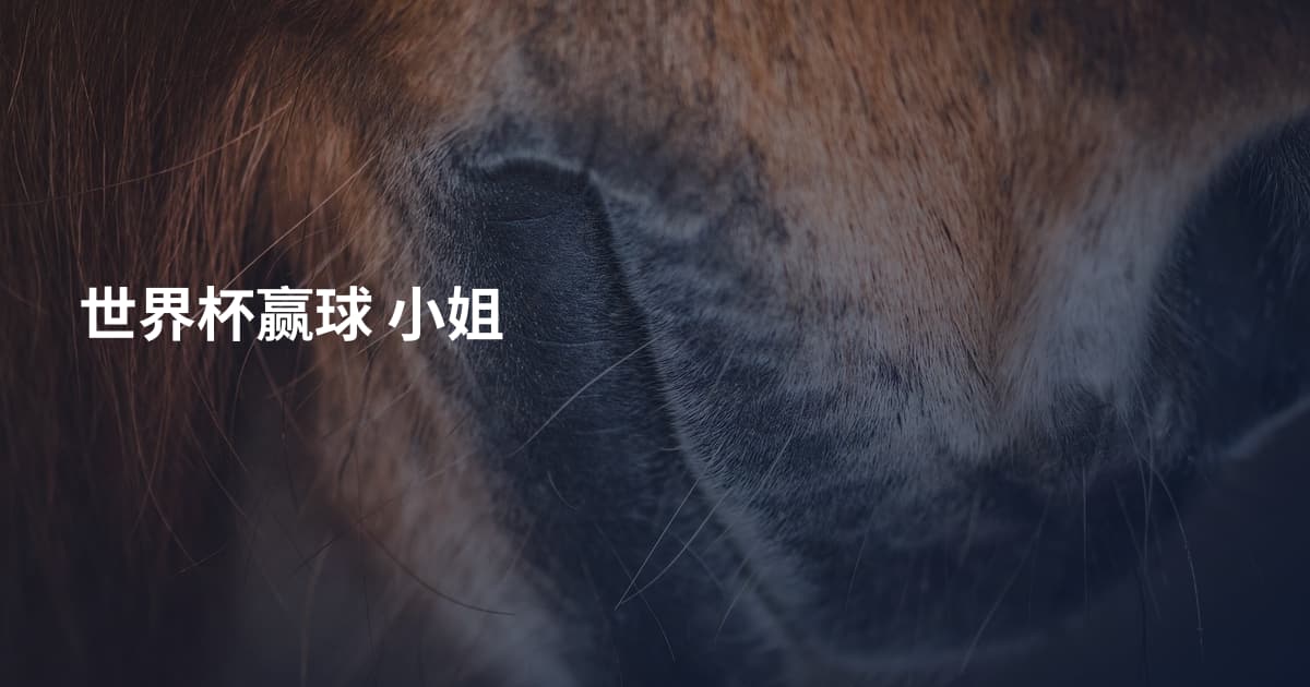 世界杯赢球 小姐
