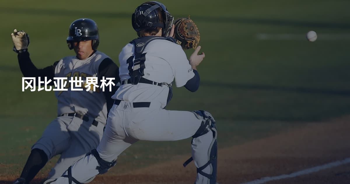 冈比亚世界杯