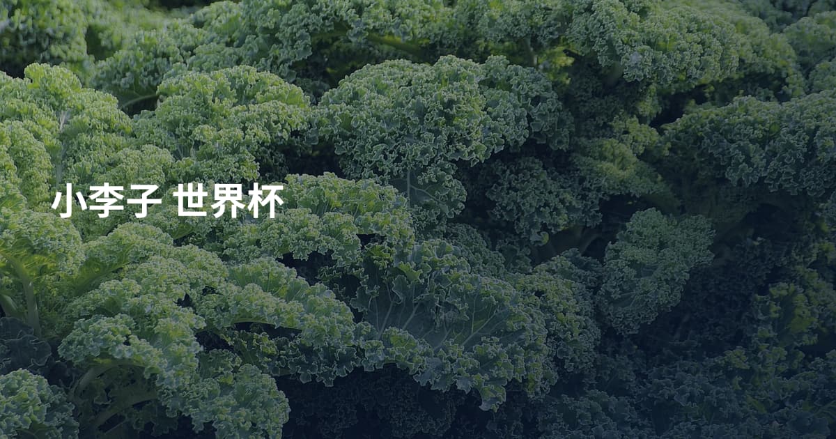 小李子 世界杯