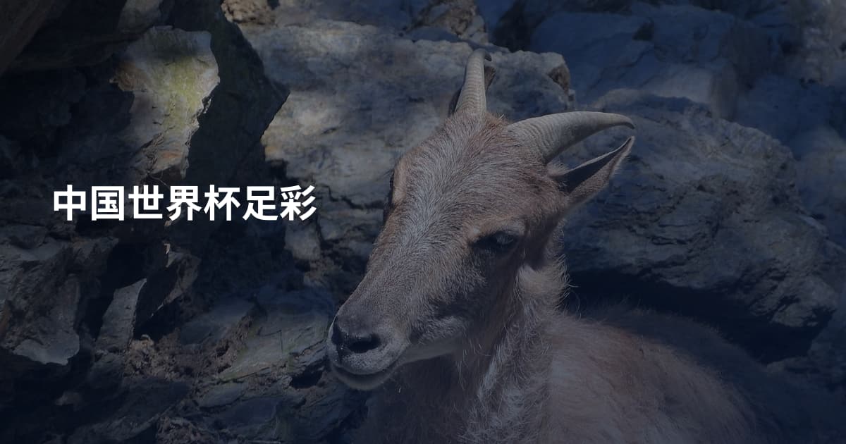 中国世界杯足彩