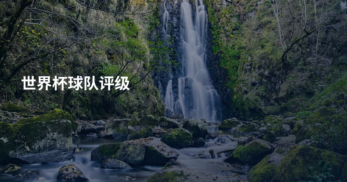 世界杯球队评级