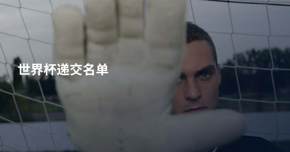 世界杯递交名单