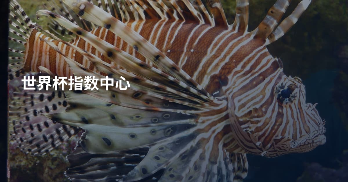 世界杯指数中心