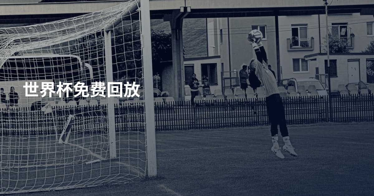 世界杯免费回放