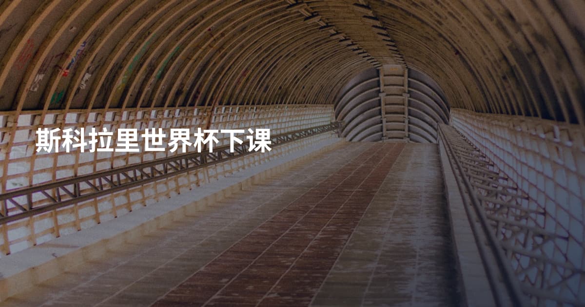 斯科拉里世界杯下课