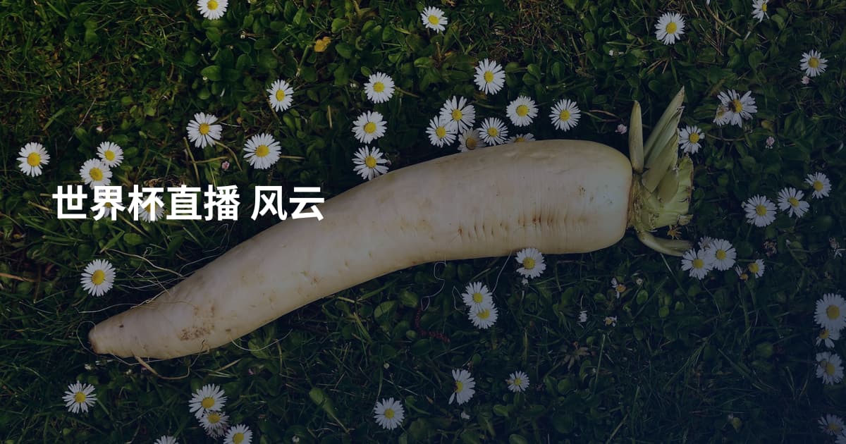 世界杯直播 风云