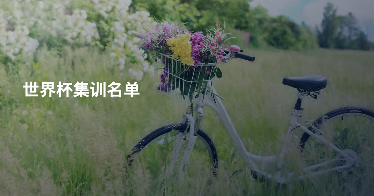 世界杯集训名单