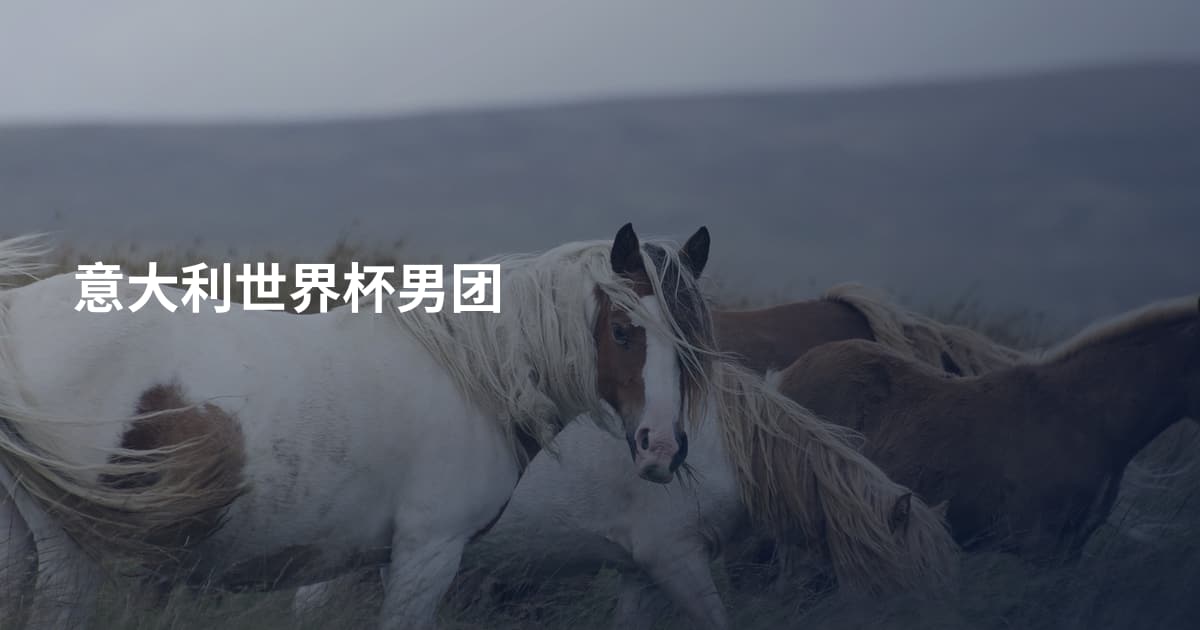 意大利世界杯男团