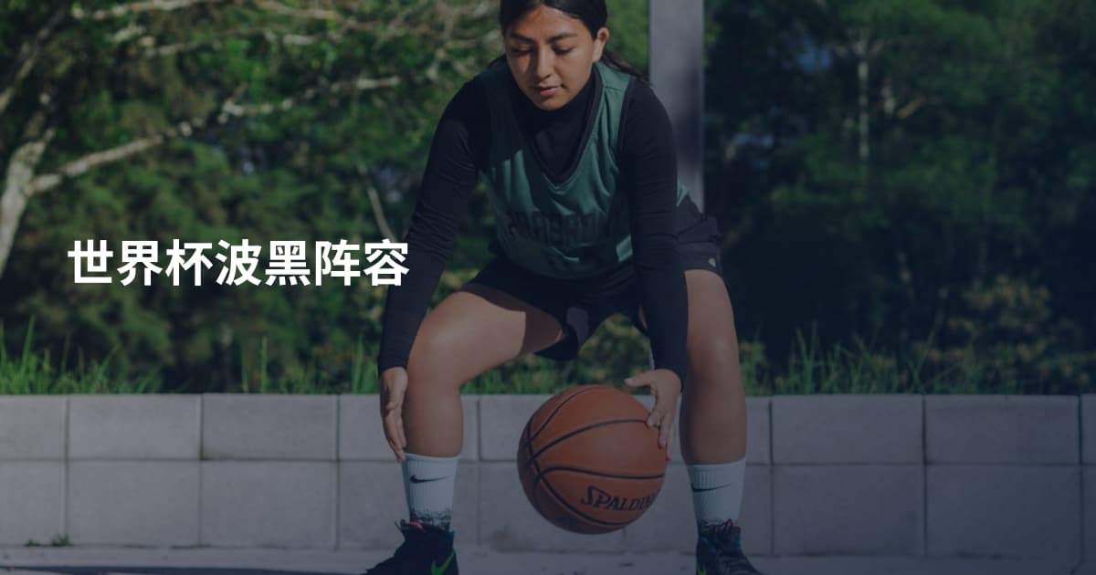 世界杯波黑阵容