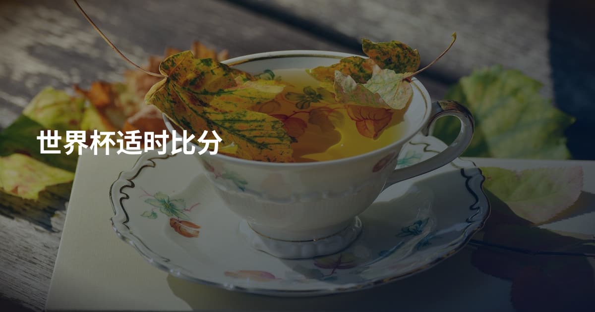 世界杯适时比分