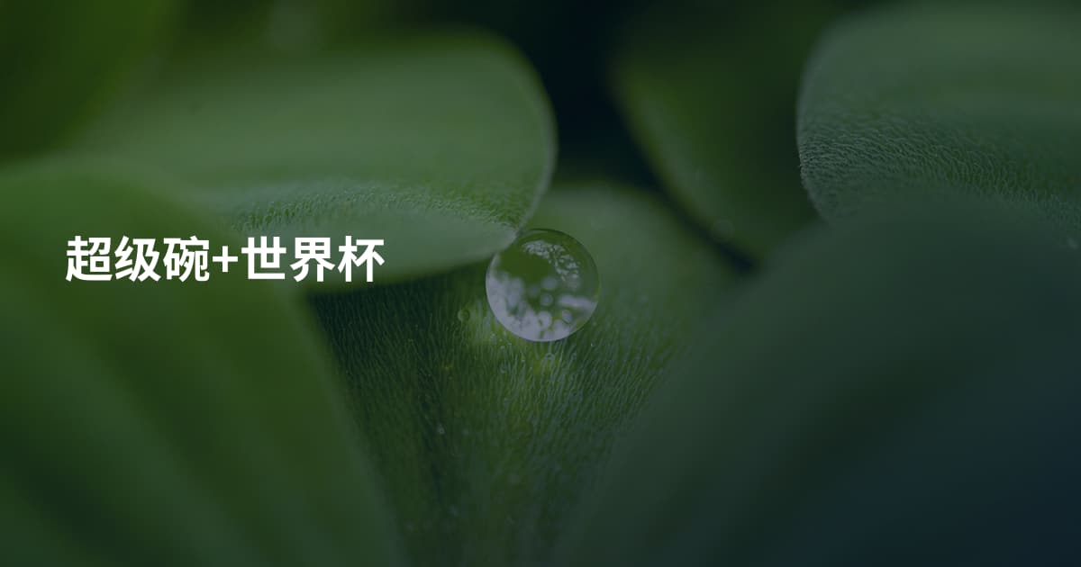 超级碗+世界杯