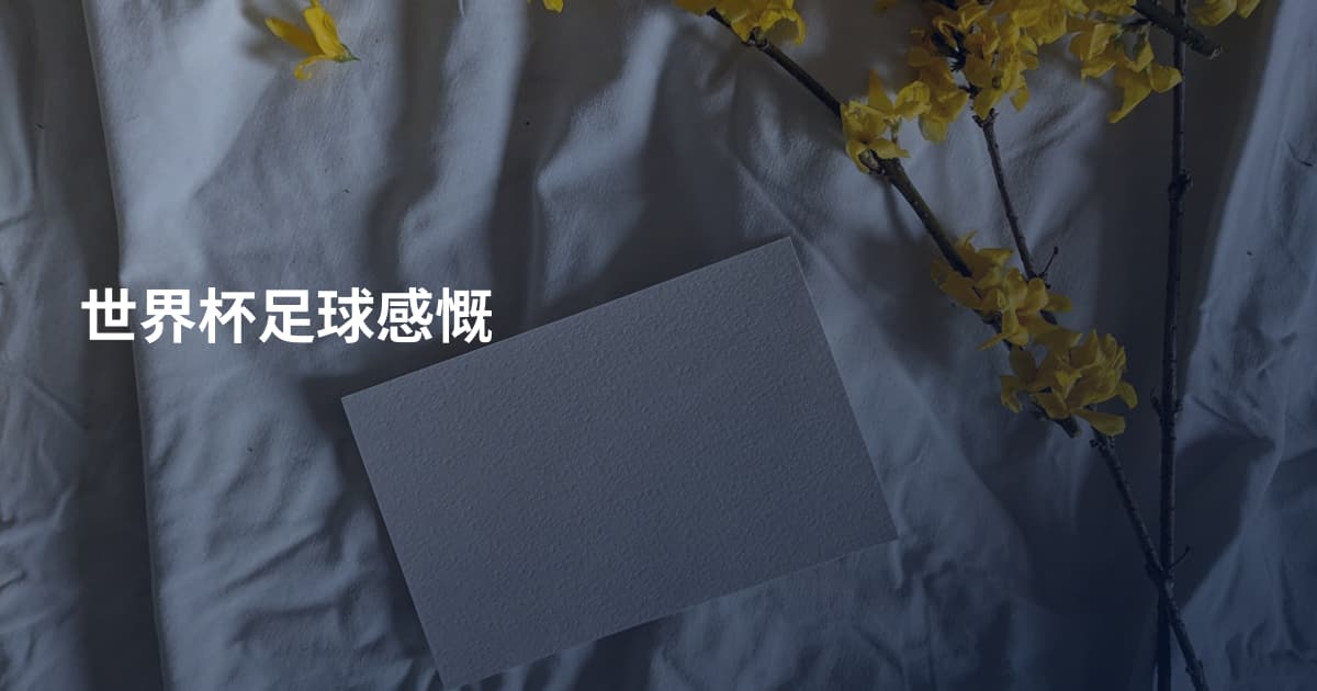世界杯足球感慨