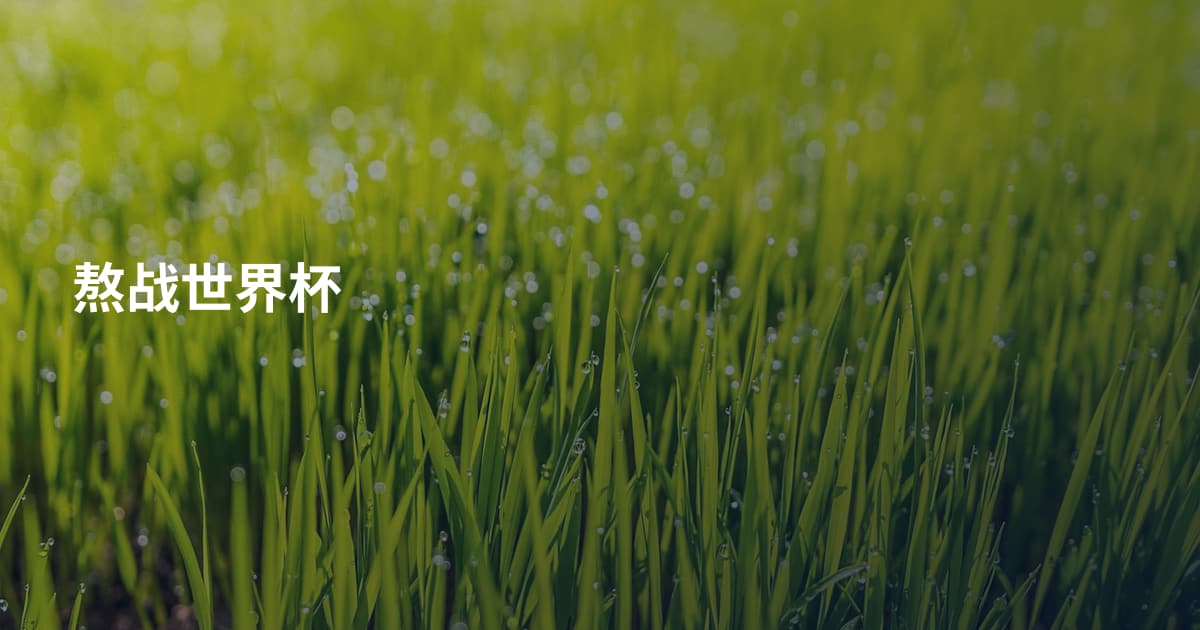 熬战世界杯
