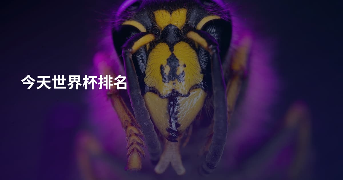 今天世界杯排名