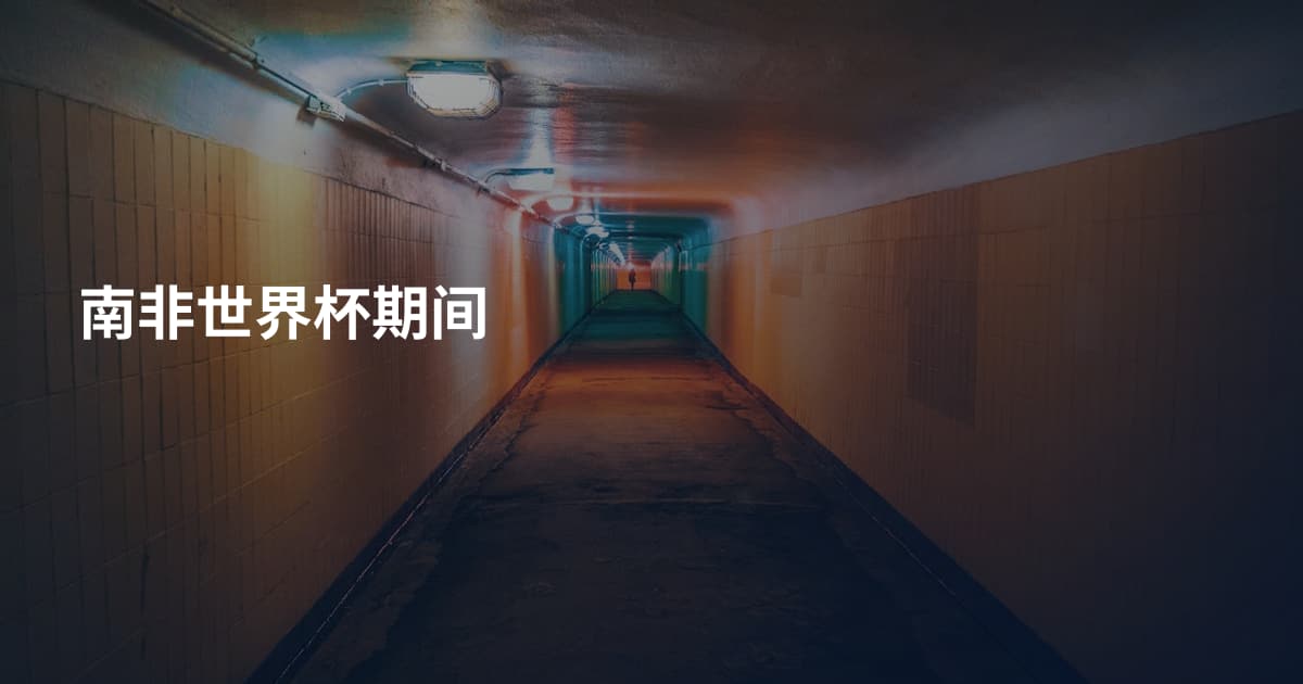 南非世界杯期间