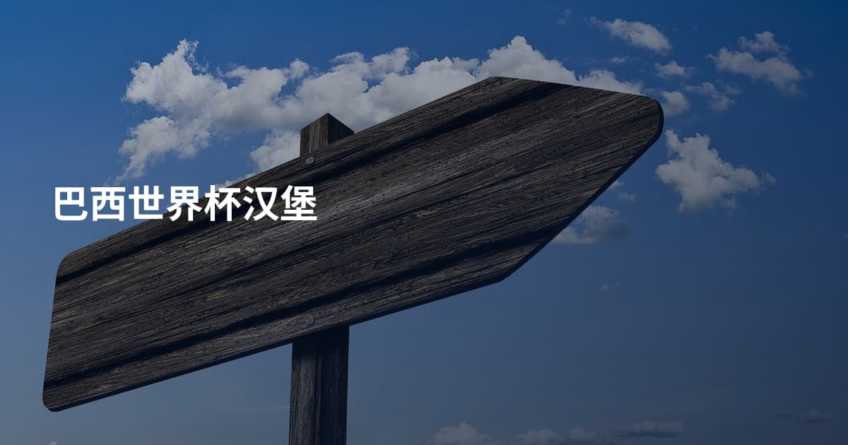 巴西世界杯汉堡
