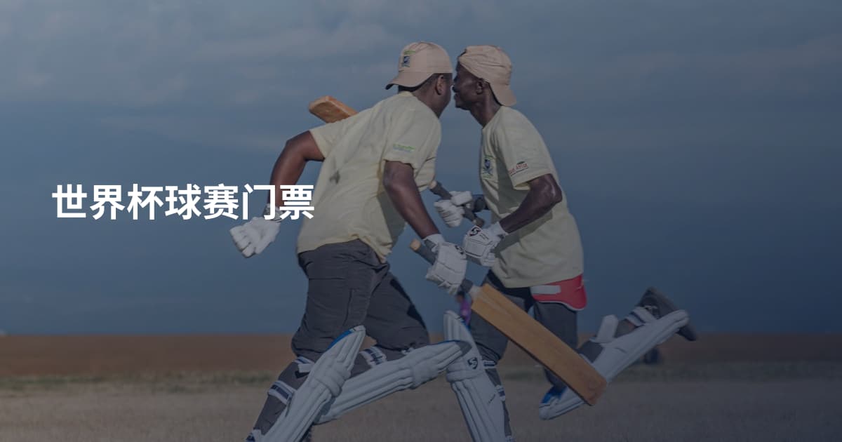 世界杯球赛门票