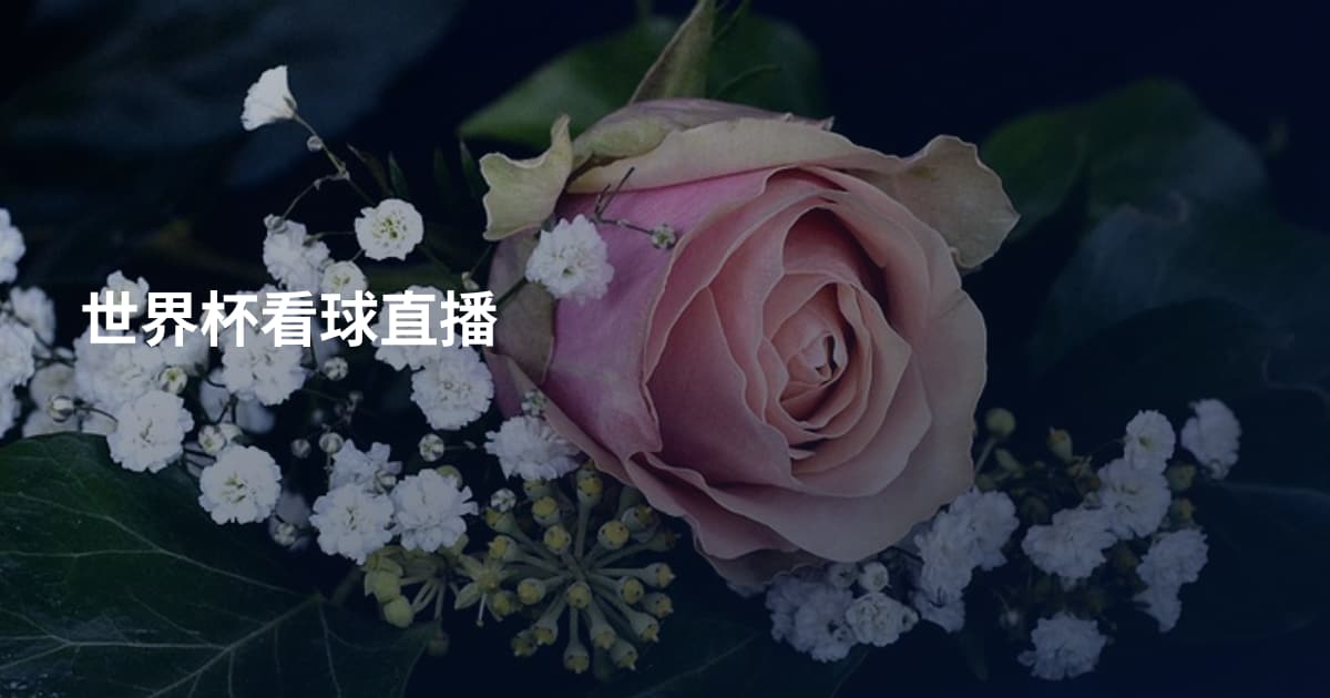 世界杯看球直播