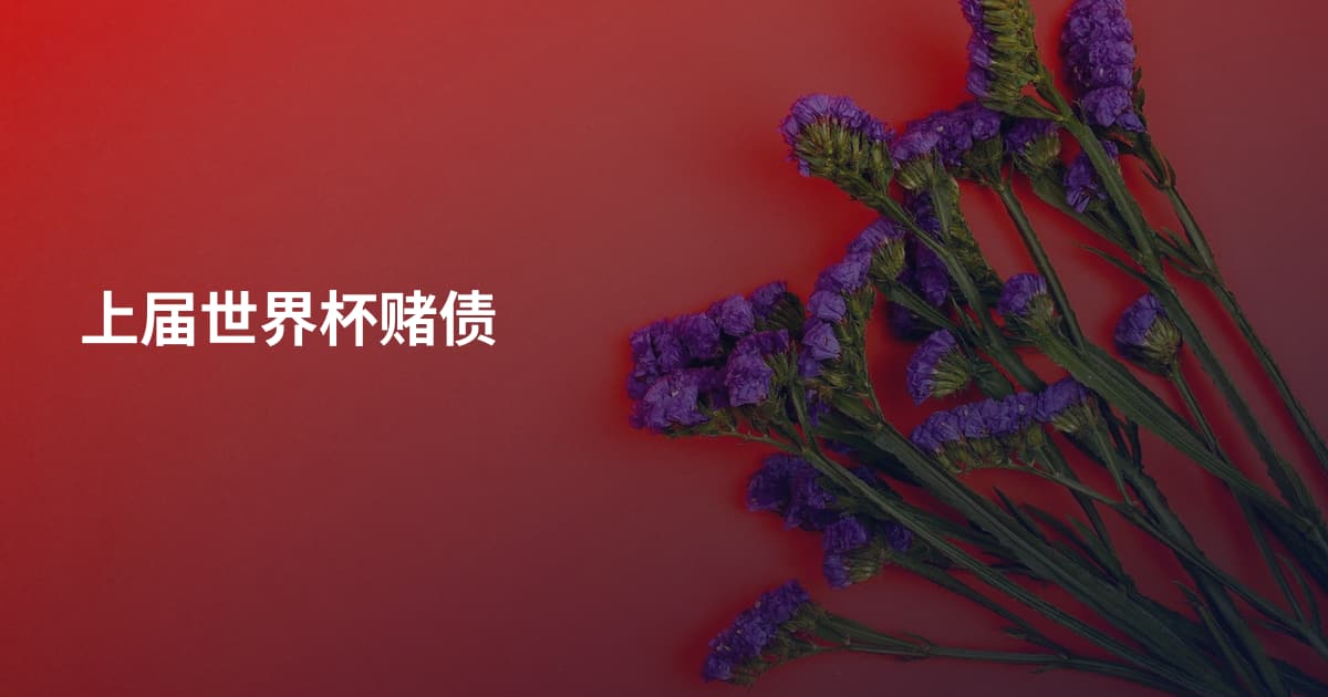 上届世界杯赌债