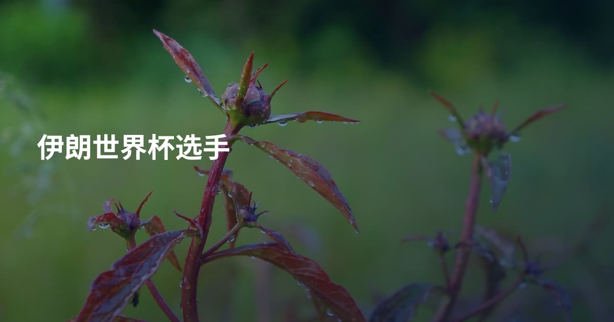 伊朗世界杯选手