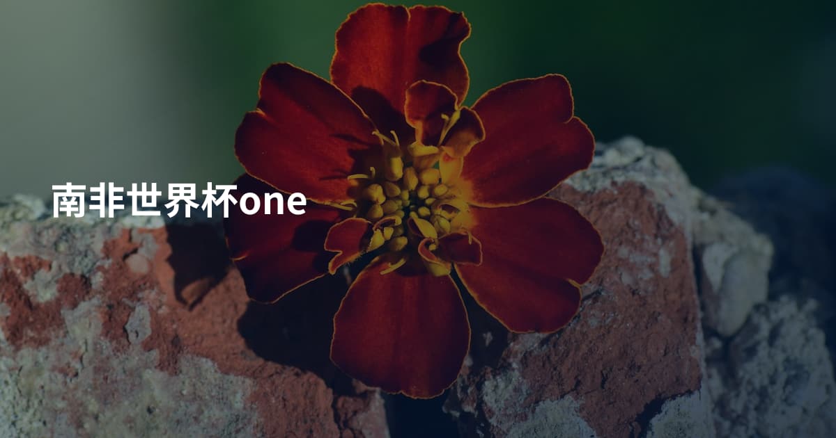 南非世界杯one