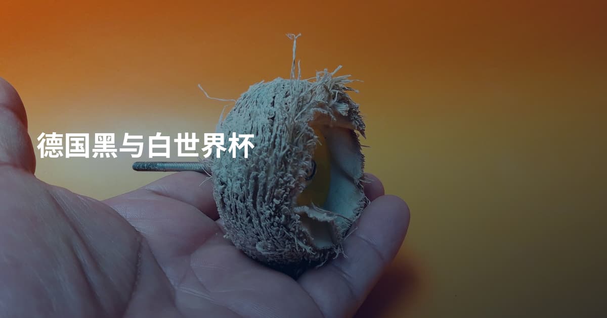 德国黑与白世界杯