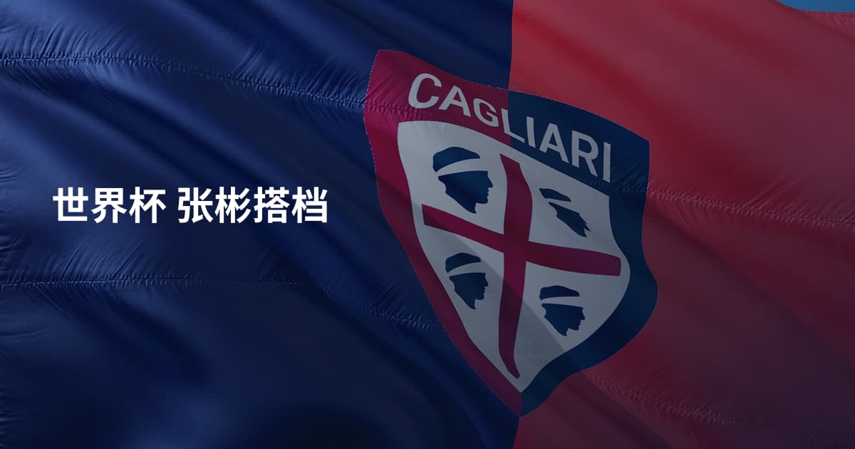 世界杯 张彬搭档