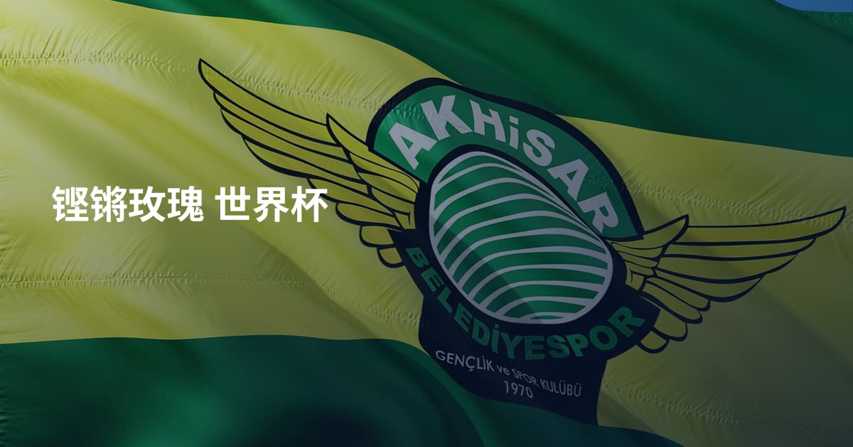 铿锵玫瑰 世界杯