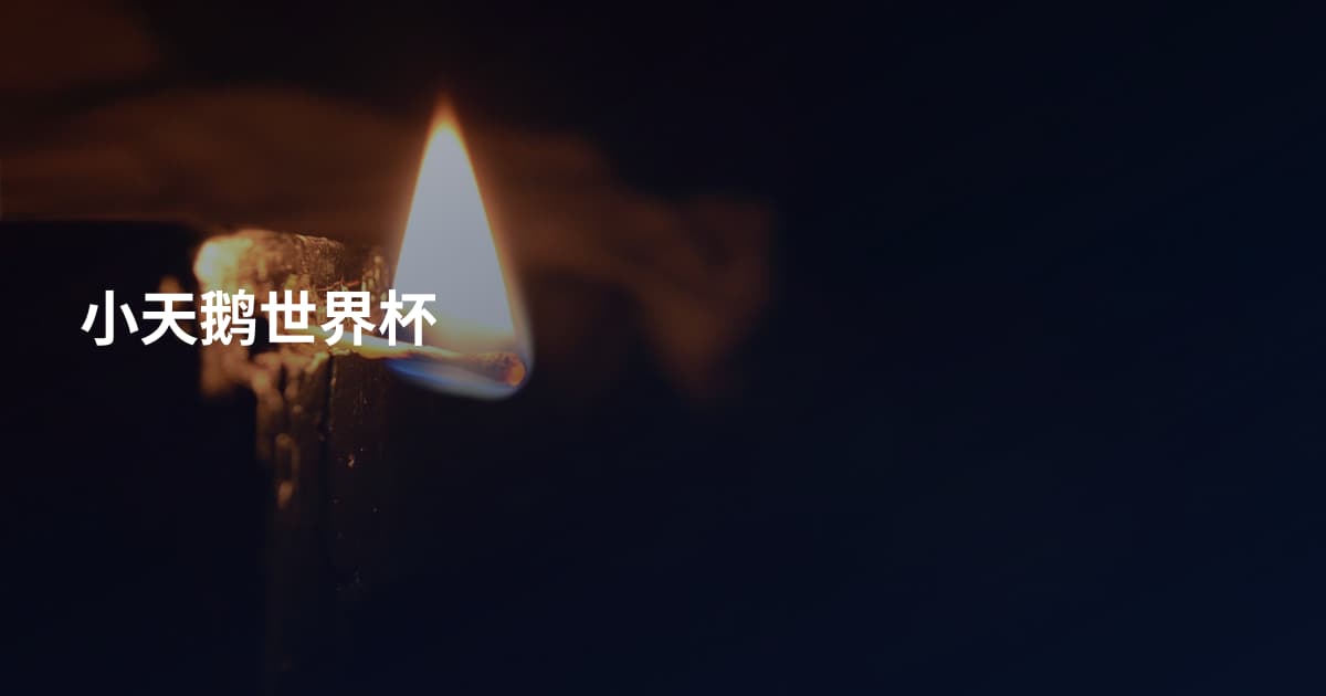 小天鹅世界杯