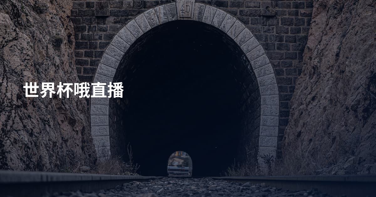 世界杯哦直播
