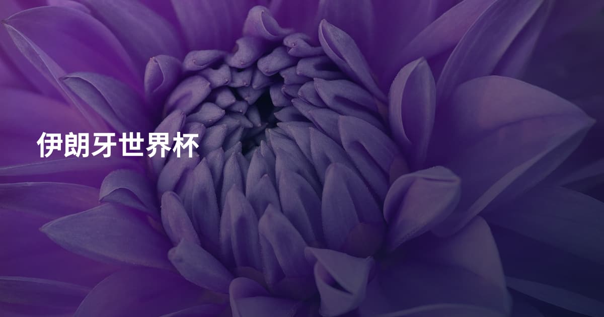 伊朗牙世界杯