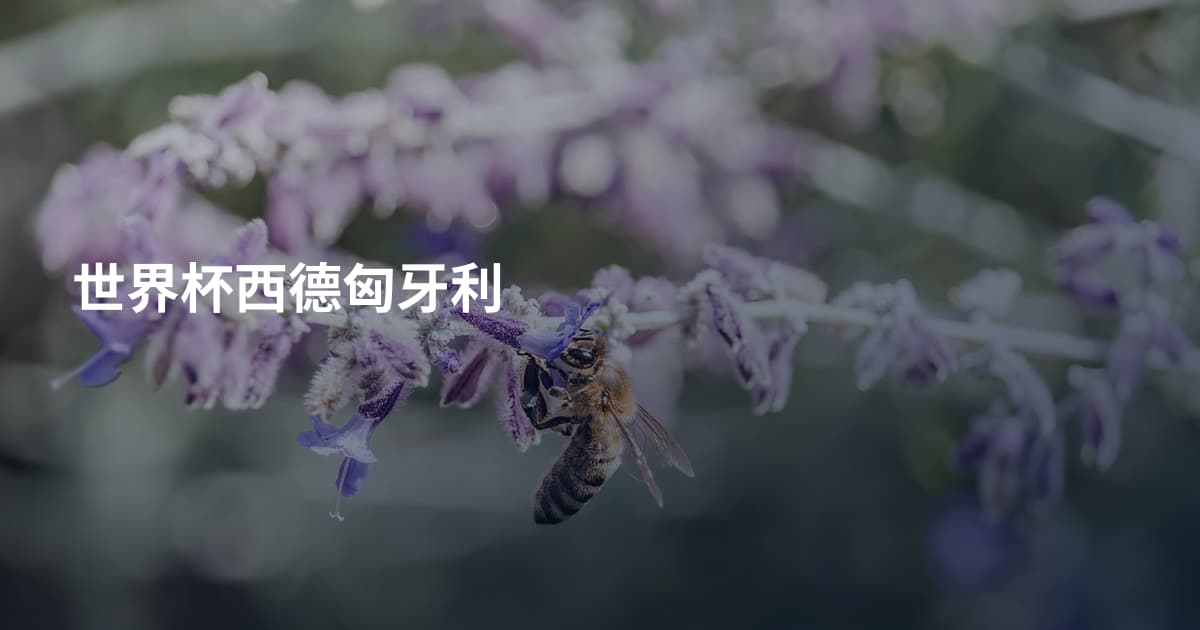 世界杯西德匈牙利