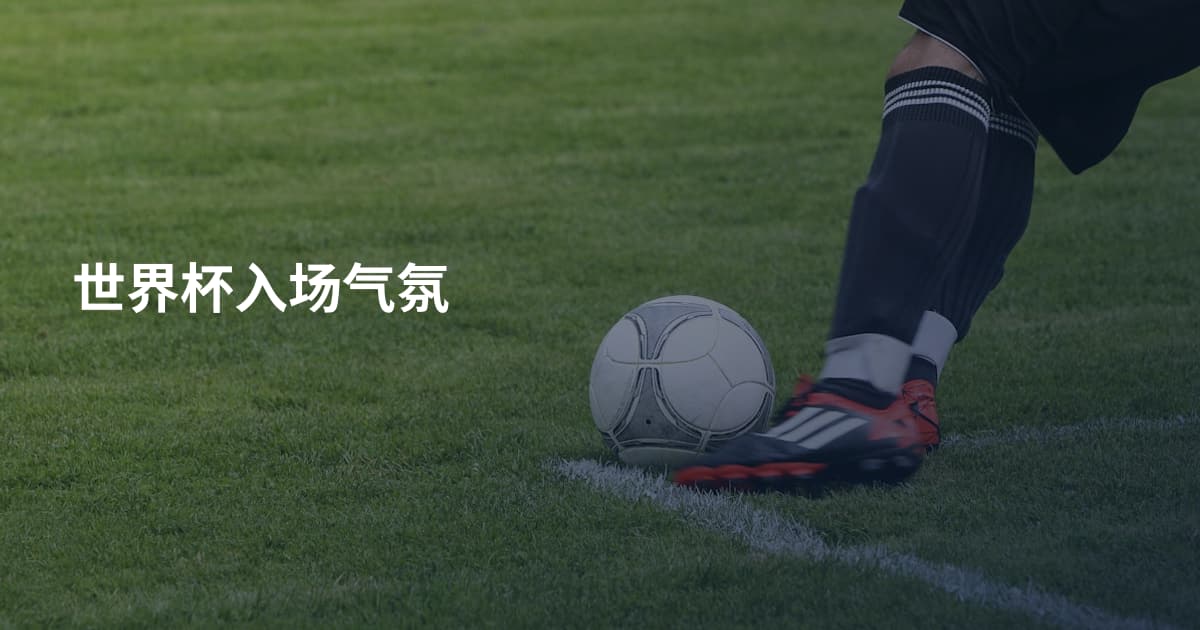 世界杯入场气氛