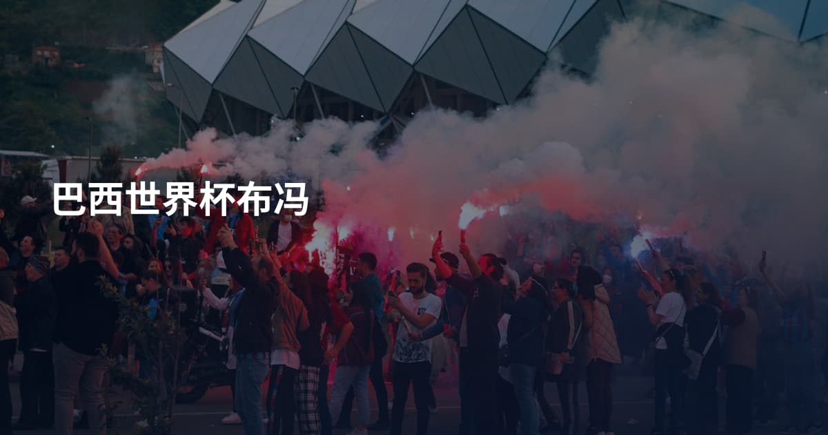 巴西世界杯布冯