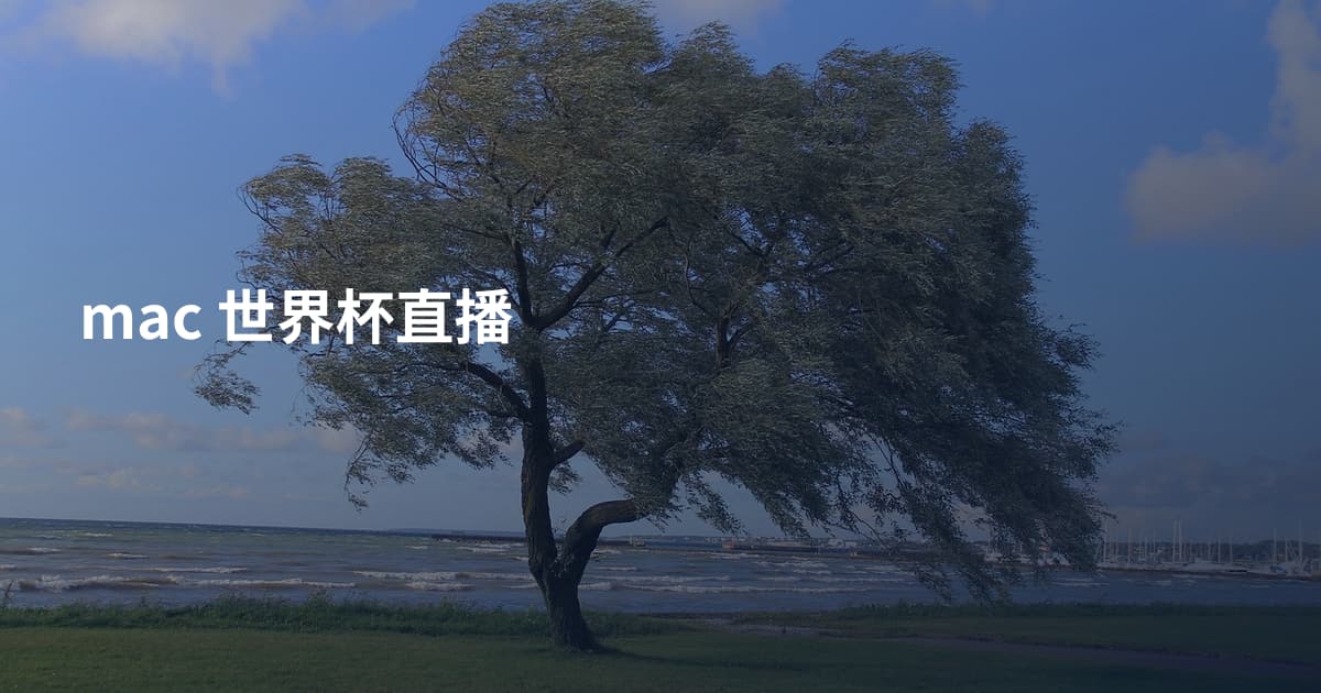 mac 世界杯直播
