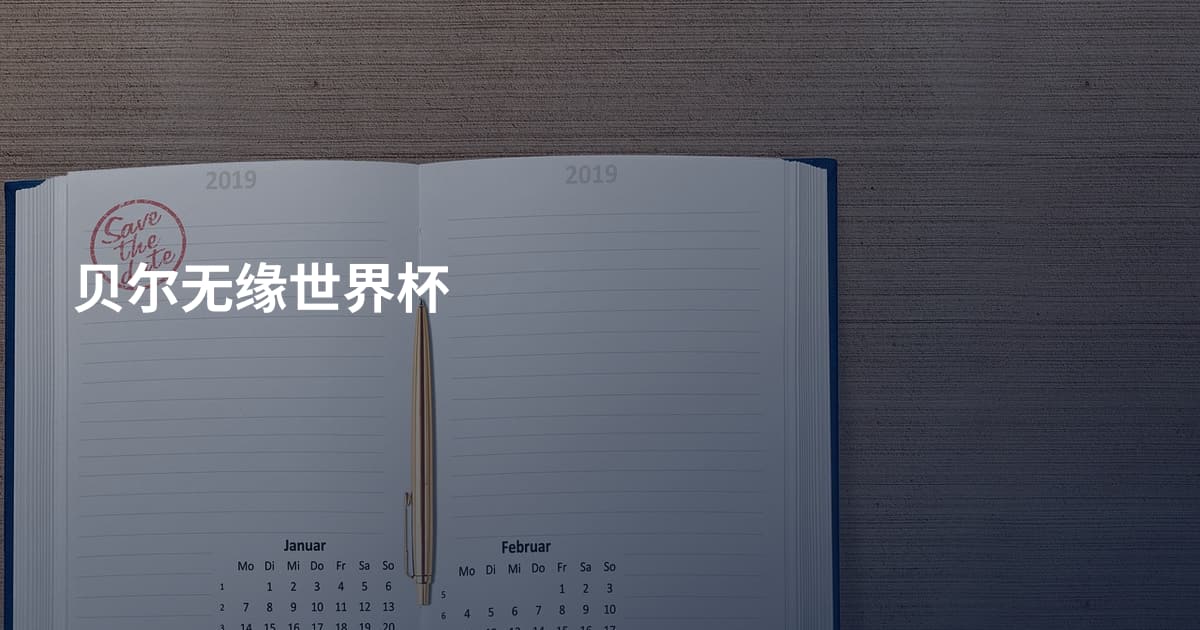 贝尔无缘世界杯