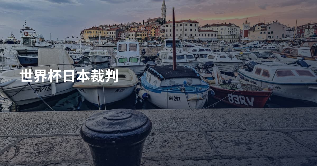 世界杯日本裁判