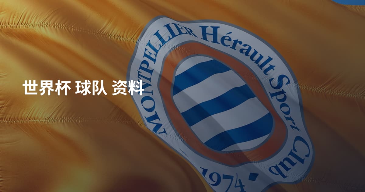世界杯 球队 资料