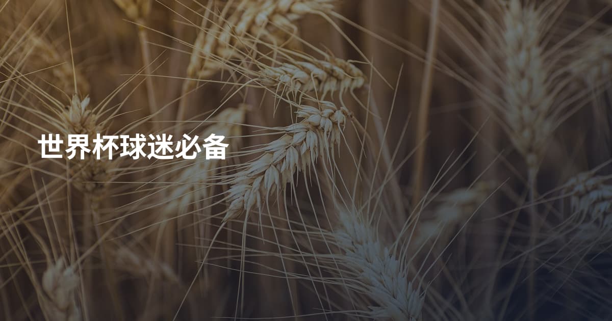 世界杯球迷必备