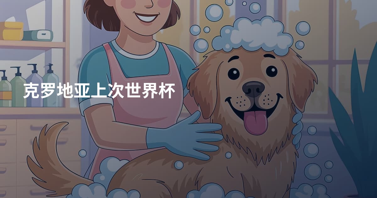 克罗地亚上次世界杯