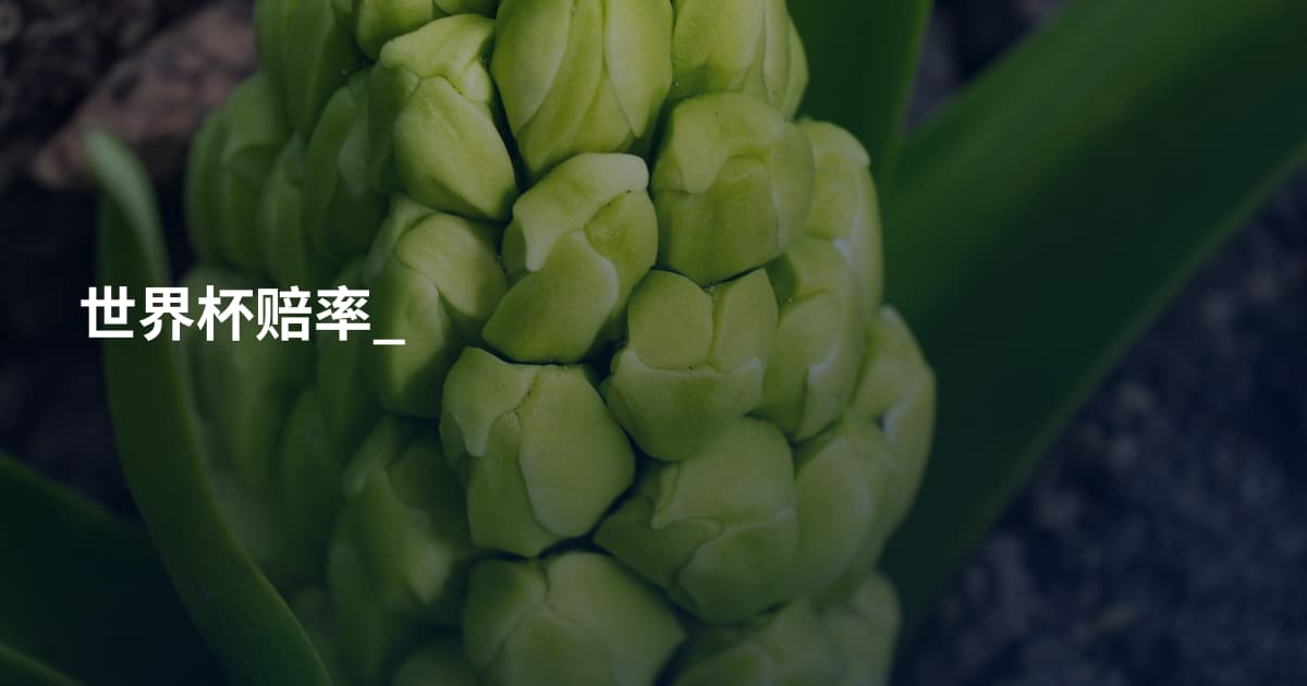 世界杯赔率_