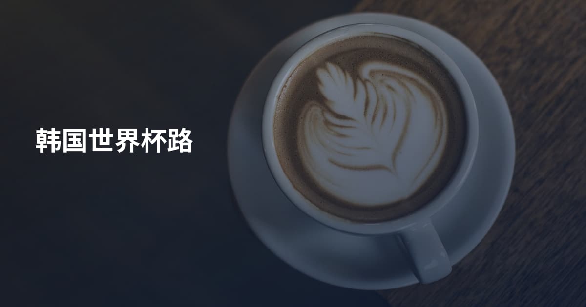 韩国世界杯路