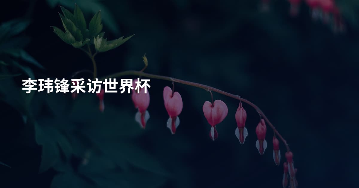 李玮锋采访世界杯